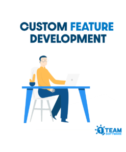 Custom Feature Development Service for Existing 1TeamSoftware Plugins